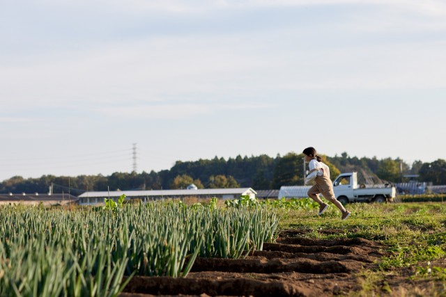 田んぼを走る少女