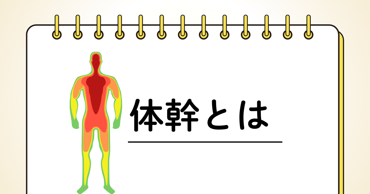 体幹とは
