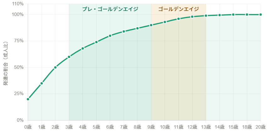 神経系