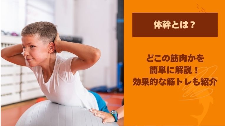 体幹とは簡単に言うとどこの筋肉？効果的な筋トレも紹介