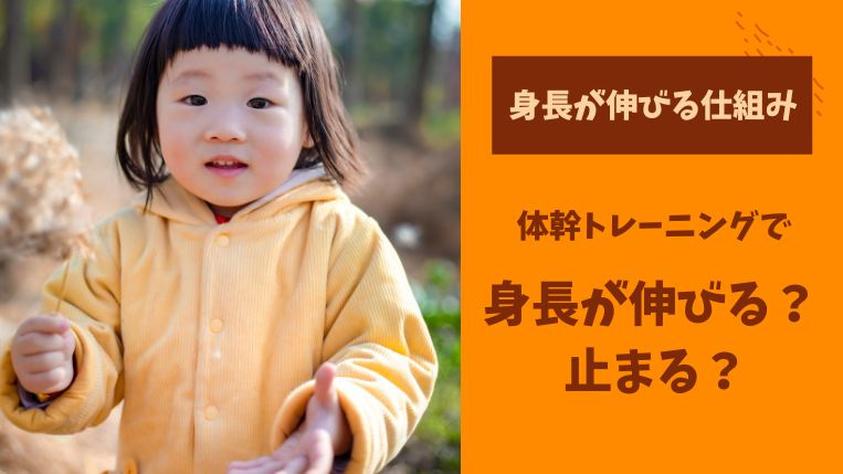 体幹トレーニングで子どもの身長が止まる？身長が伸びる仕組みを解説