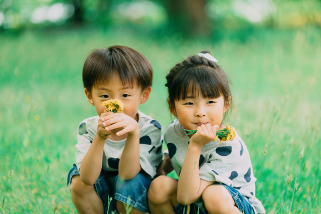 野花を持っている男の子と女の子