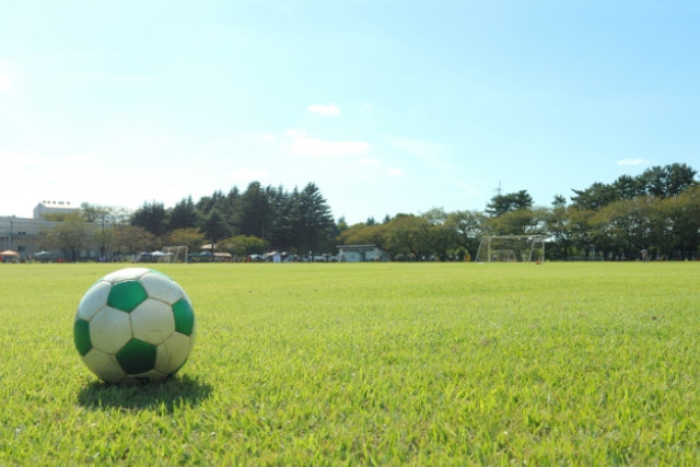 サッカーと芝生