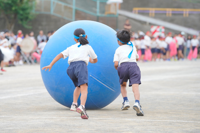 運動会の種目の巨大ボール運び