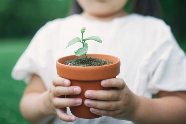 芽が出ている鉢を持つ子ども