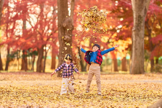 紅葉ではしゃぐ子どもたち