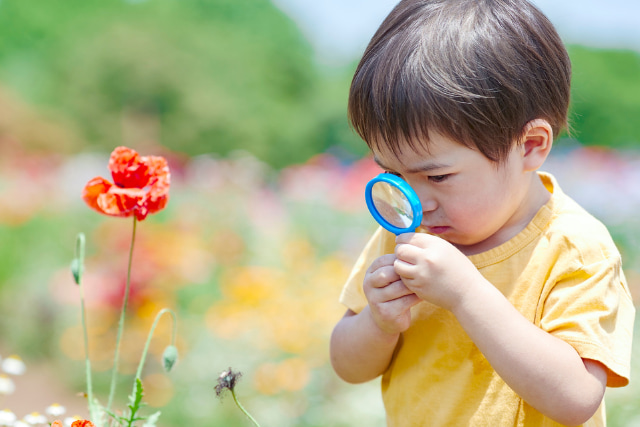 虫眼鏡で花を観察する子ども