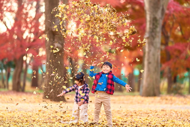 落ち葉で遊ぶ子ども