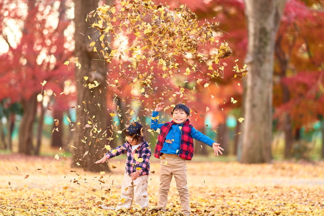 落ち葉で遊ぶ子ども